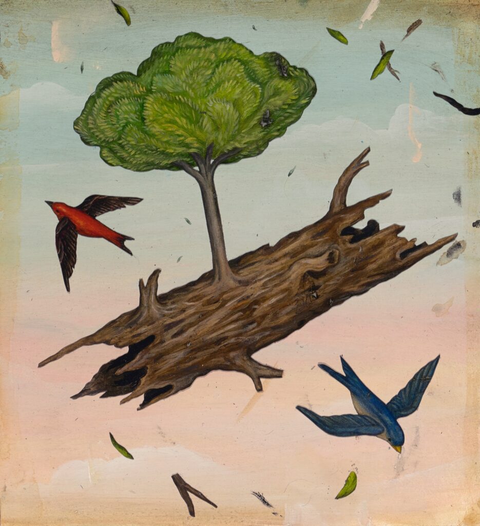 Illustration of birds and a chestnut tree.