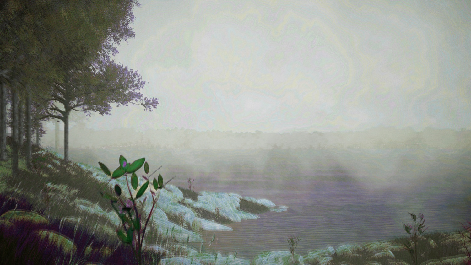 Misty morning on the Ohio River with an extinct Orbexilum stipulatum flower in the foreground