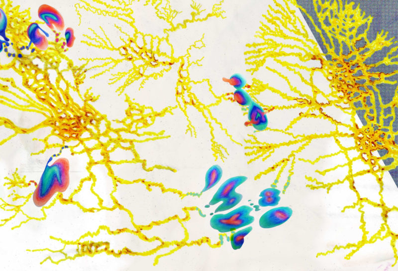 Illustration of a slime mold with colorful "aural" packets interspersed within its network. A sketched human in the corner looks on