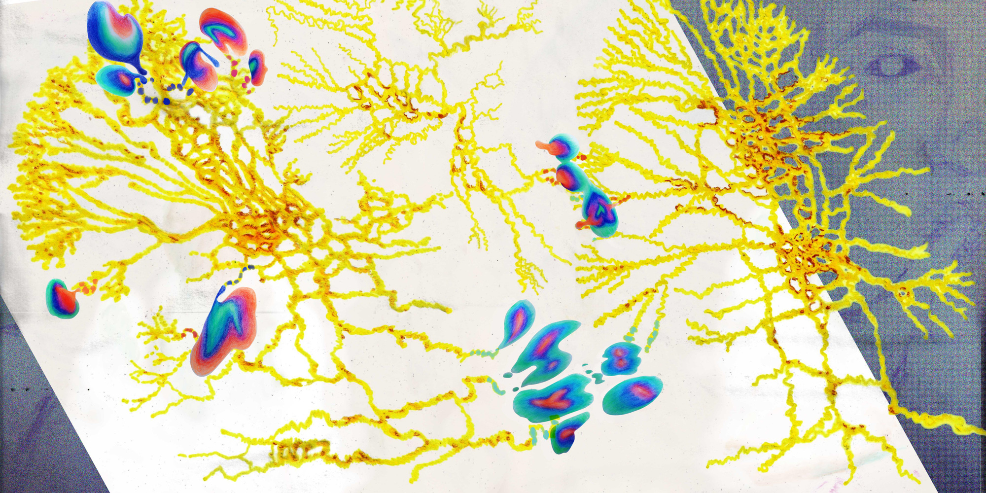 Illustration of a slime mold with colorful 