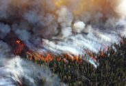 Photograph from a bird's eye view of fire spreading through a forest. The burning trees appear like candlesticks from afar, and white smoke hovers over the scene.