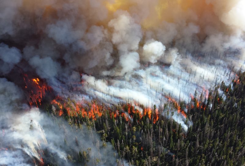 Photograph from a bird's eye view of fire spreading through a forest. The burning trees appear like candlesticks from afar, and white smoke hovers over the scene.