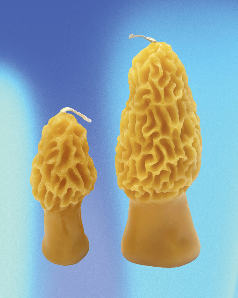 Morel Mushroom Beeswax Candle Set